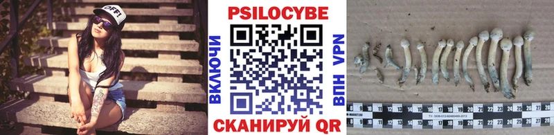 купить  цена  Олонец  Псилоцибиновые грибы MAGIC MUSHROOMS 